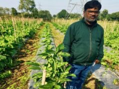 उद्यानिकी की आधुनिक तकनीकों से किसान महेश कश्यप की बदली तकदीर