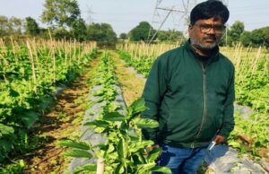 उद्यानिकी की आधुनिक तकनीकों से किसान महेश कश्यप की बदली तकदीर