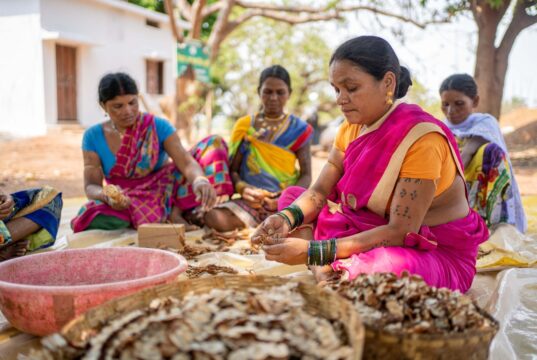 वन धन विकास केंद्र वनांचल की महिलाओं के लिए आत्मनिर्भरता का नया सोपान
