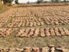 वन है तो जीवन है : वन विभाग की योजनाओं से हजारों परिवारों को मिल रहा सहारा