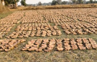 वन है तो जीवन है : वन विभाग की योजनाओं से हजारों परिवारों को मिल रहा सहारा