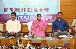 राईस मिल एसोसिएशन ने दिए सुझाव, मिलों के आधुनिकीकरण और गुणवत्ता सुधार पर जोर