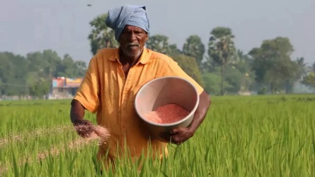 16_12_2024-18_10_2024-bihar_dap_khad_23817872_23849537
