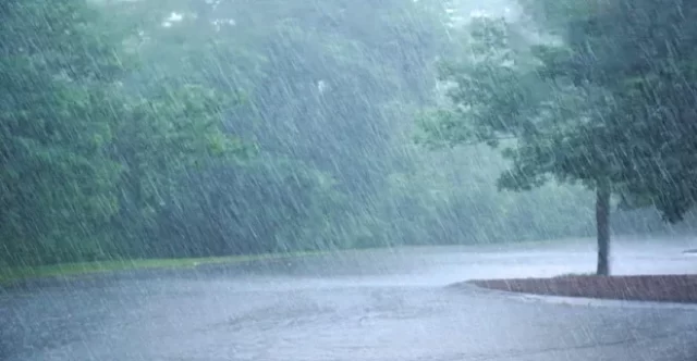 20230731170240_baarish3