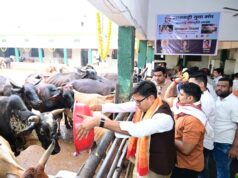 जन्मदिवस के अवसर पर वित्त मंत्री श्री ओपी चौधरी ने की गौ-सेवा, संरक्षण के प्रयासों को सराहा