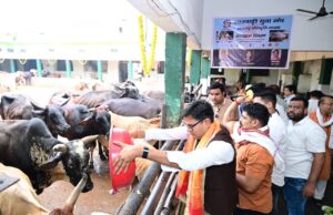 जन्मदिवस के अवसर पर वित्त मंत्री श्री ओपी चौधरी ने की गौ-सेवा, संरक्षण के प्रयासों को सराहा