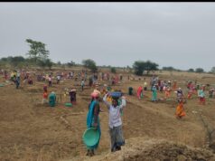 *मनरेगा अंतर्गत प्रदेश में प्रतिदिन 11 लाख से अधिक श्रमिकों को रोजगार, 57 प्रतिशत महिलाएं *