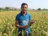 मिलेट से बढ़ी आय, किसानों के जीवन में आई खुशहाली