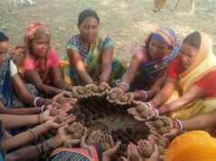 सीड बॉल बनाकर प्रकृति संरक्षण की अनूठी पहल, हरित जशपुर के निर्माण पर जोर