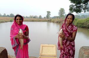 मुख्यमंत्री श्री विष्णु देव साय के नेतृत्व में मत्स्य उत्पादन को मिल रही नई गति