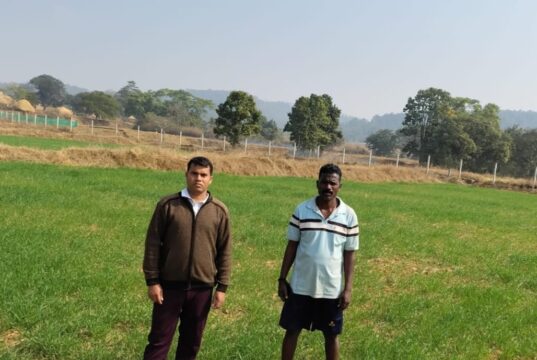 कम लागत, दोगुना फायदा: जशपुर के किसान ने गेहूं की खेती से बढ़ाई आमदनी