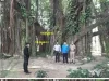 बिहार के मुंगेर में मिला सबसे पुराना और सटीक तिथि वाला बरगद का वृक्ष