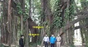 बिहार के मुंगेर में मिला सबसे पुराना और सटीक तिथि वाला बरगद का वृक्ष