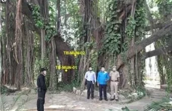 बिहार के मुंगेर में मिला सबसे पुराना और सटीक तिथि वाला बरगद का वृक्ष