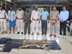 धौड़ाई में वन विभाग की बड़ी कार्रवाई, 3 आरोपियों के कब्जे से तेंदुए की खाल जब्त