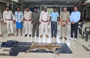 धौड़ाई में वन विभाग की बड़ी कार्रवाई, 3 आरोपियों के कब्जे से तेंदुए की खाल जब्त