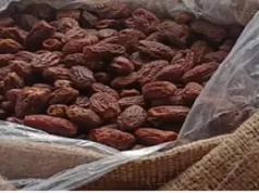 पाकिस्तानी सूखा खजूर जब्त, बाजार मूल्य 3 करोड़ रुपये