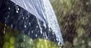 छत्तीसगढ़ में झमाझम हुई बारिश, राज्य में 647.3 मि.मी. औसत वर्षा दर्ज