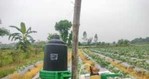 सूक्ष्म सिंचाई योजना से खेती बनी अधिक लाभकारी, ड्रिप सिंचाई अपनाकर किसान ने बढ़ाया सब्जी उत्पादन