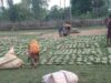 तेन्दूपत्ता संग्रहण की नई पहल से अबुझमाड़ के 22 गांवों को मिला लाभ