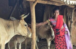 बस्तर के खेतों में बही समृद्धि की बयार