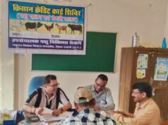 पशुपालन केसीसी से धमतरी के 93 पशुपालकों को मिली 98.62 लाख की वित्तीय संजीवनी