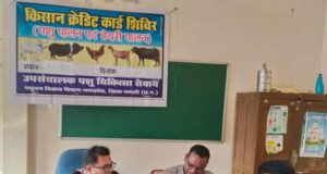 पशुपालन केसीसी से धमतरी के 93 पशुपालकों को मिली 98.62 लाख की वित्तीय संजीवनी