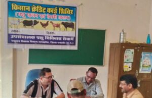 पशुपालन केसीसी से धमतरी के 93 पशुपालकों को मिली 98.62 लाख की वित्तीय संजीवनी