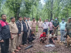 मृत भालू के नाखून काटकर ले जाने वाले दो आरोपी गिरफ्तार