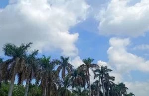 छत्तीसगढ़ में मानसून की बारिश पर लगी ब्रेक, बढ़ा तापमान
