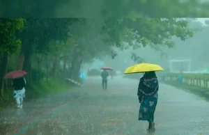 छत्तीसगढ़ में बारिश का असर, धमतरी में स्कूलों की छुट्टी