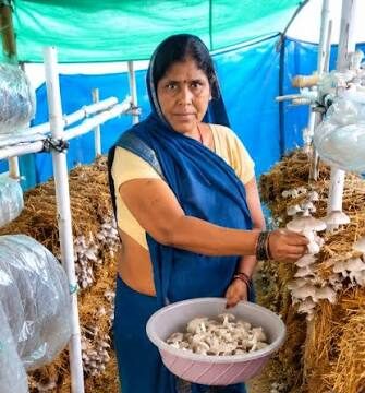 आत्मनिर्भरता की नई मिसाल- खेतों से मशरूम उत्पादन तक मिथिला दीदी ने लिखी सफलता की नई कहानी