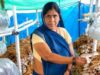 आत्मनिर्भरता की नई मिसाल- खेतों से मशरूम उत्पादन तक मिथिला दीदी ने लिखी सफलता की नई कहानी