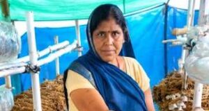 आत्मनिर्भरता की नई मिसाल- खेतों से मशरूम उत्पादन तक मिथिला दीदी ने लिखी सफलता की नई कहानी