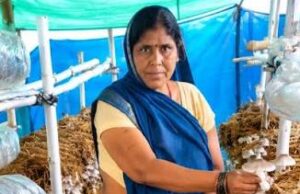 आत्मनिर्भरता की नई मिसाल- खेतों से मशरूम उत्पादन तक मिथिला दीदी ने लिखी सफलता की नई कहानी