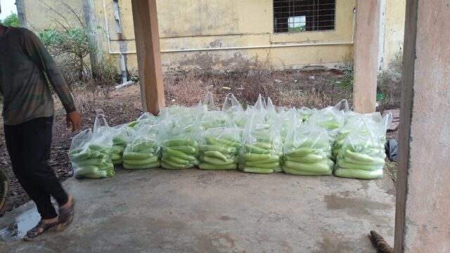 WhatsApp Image 2026-09-07 at 2.53.35 PM