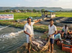 बदली किसानों की किस्मत प्रधानमंत्री मत्स्य संपदा योजना से