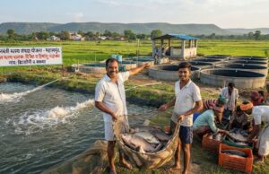 बदली किसानों की किस्मत प्रधानमंत्री मत्स्य संपदा योजना से