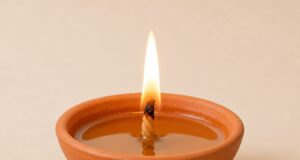 सेवा संकल्प अभियान में हर घर जलेगा ‘आशीर्वाद का दीया’, सेवा और समर्पण के संकल्प से जगमगाएगा छत्तीसगढ़