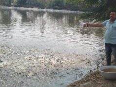 0.40 हेक्टेयर में गुलाब पटेल ने लिखा मछली पालन से समृद्धि का नया अध्याय