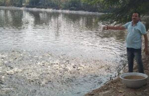 0.40 हेक्टेयर में गुलाब पटेल ने लिखा मछली पालन से समृद्धि का नया अध्याय
