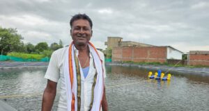 तीन माह बाद बिक्री योग्य आकार में आएंगी मछलियां, स्थानीय बाजार में मांग से बेहतर आमदनी की उम्मीद
