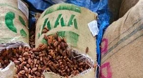 ऑपरेशन डीप मैनिफेस्ट : 362 मीट्रिक टन से अधिक पाकिस्तानी सूखी खजूर जब्त