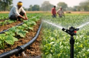 जल संसाधन विभाग की बड़ी सौगात