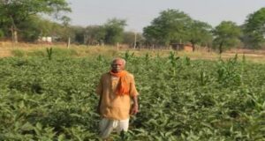 धान से 35 हजार तो ग्राफ्टेड बैंगन की खेती से कमाए 55 हजार रुपये, अन्य किसानों के लिए बने प्रेरणा