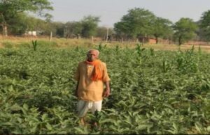 धान से 35 हजार तो ग्राफ्टेड बैंगन की खेती से कमाए 55 हजार रुपये, अन्य किसानों के लिए बने प्रेरणा